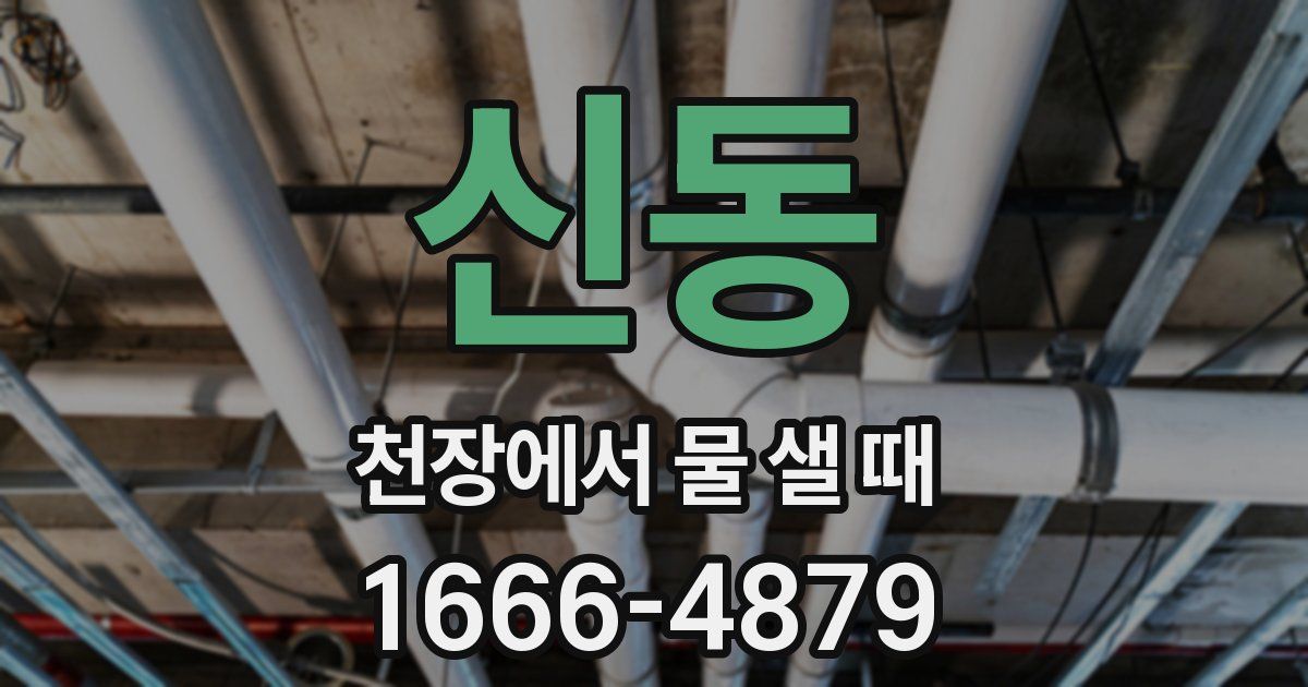 신동 천장에서 물 샐 때