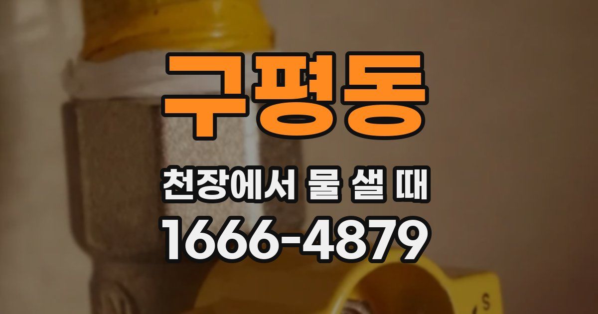 구평동 천장에서 물 샐 때