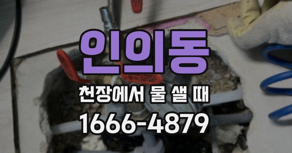 인의동 천장에서 물 샐 때