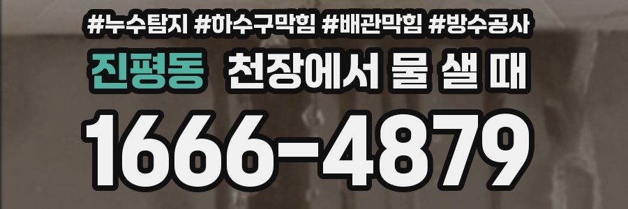 진평동 천장에서 물 샐 때
