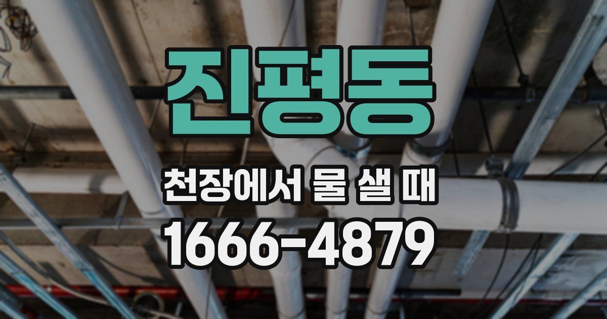 진평동 천장에서 물 샐 때