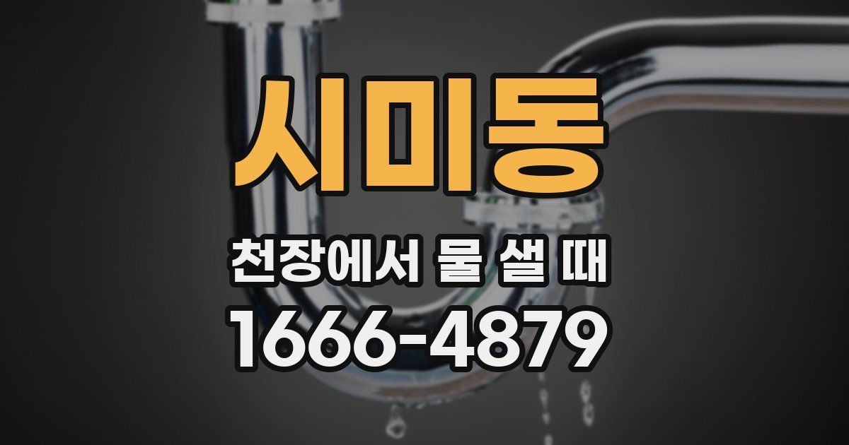 시미동 천장에서 물 샐 때