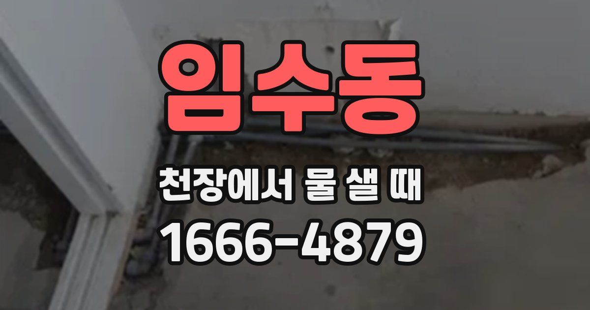 임수동 천장에서 물 샐 때