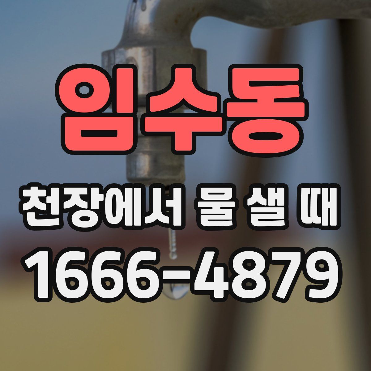 임수동 천장에서 물 샐 때