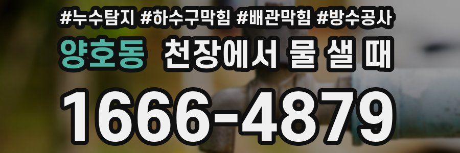 양호동 천장에서 물 샐 때