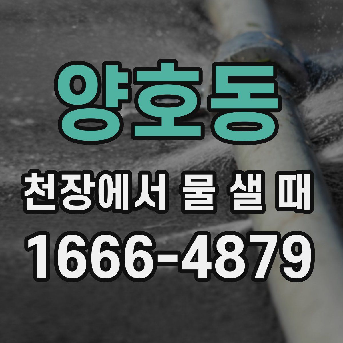 양호동 천장에서 물 샐 때