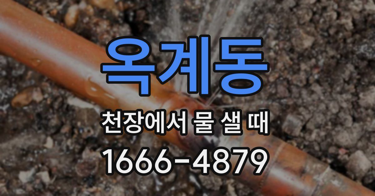 옥계동 천장에서 물 샐 때