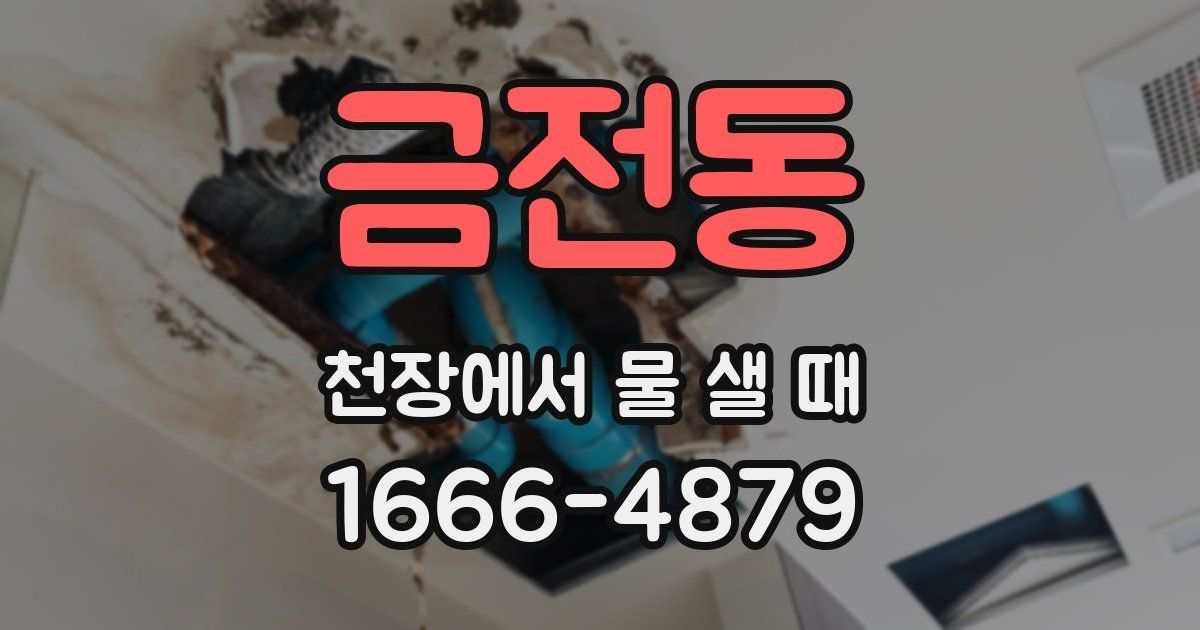 금전동 천장에서 물 샐 때