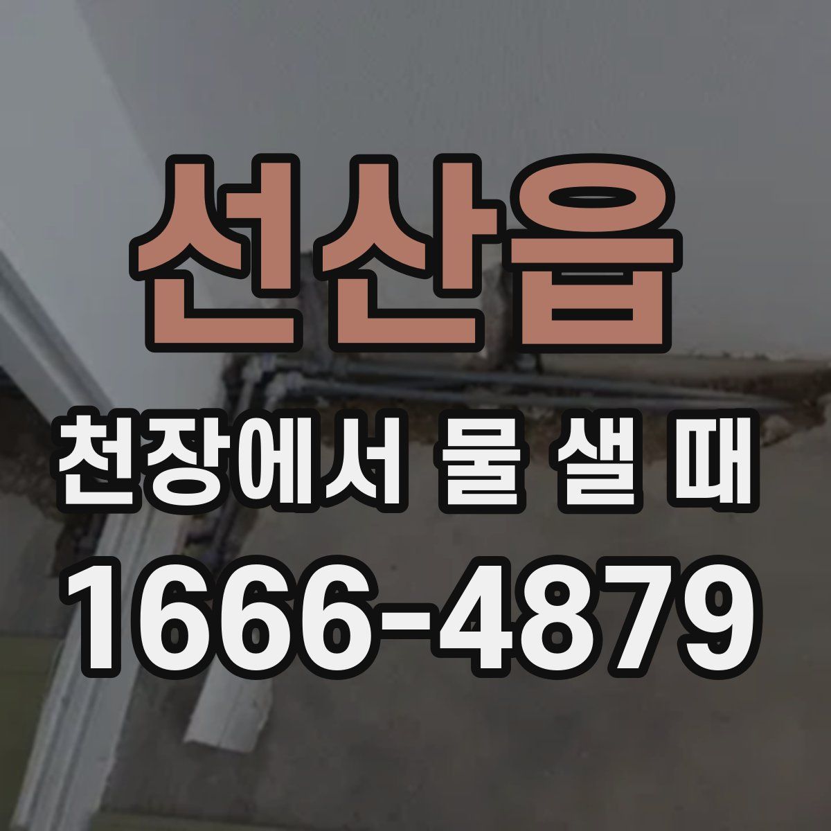 선산읍 천장에서 물 샐 때