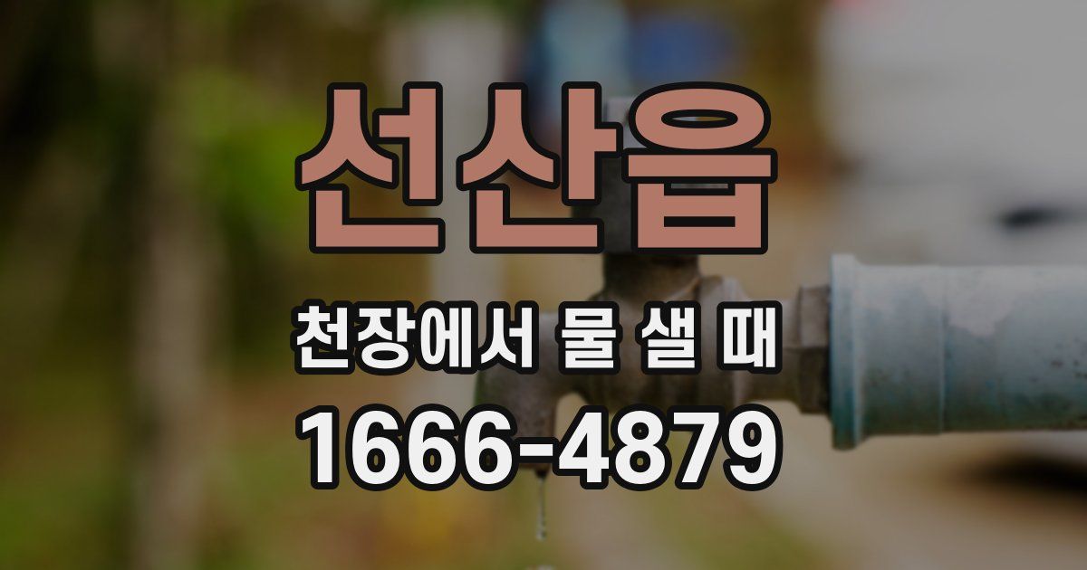 선산읍 천장에서 물 샐 때