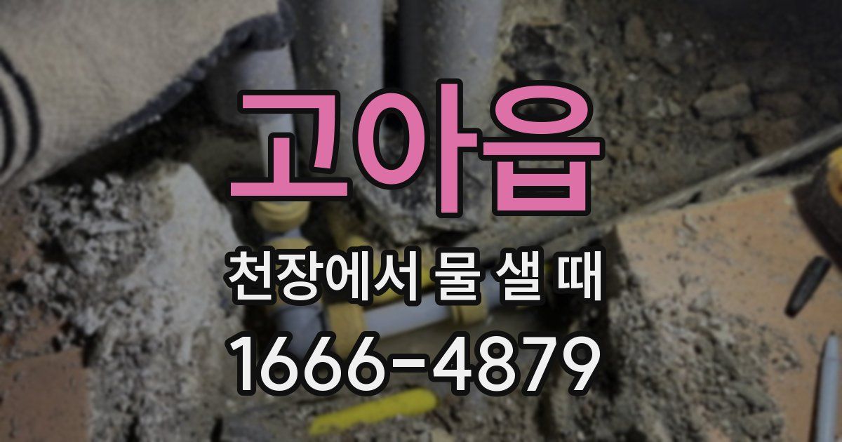 고아읍 천장에서 물 샐 때