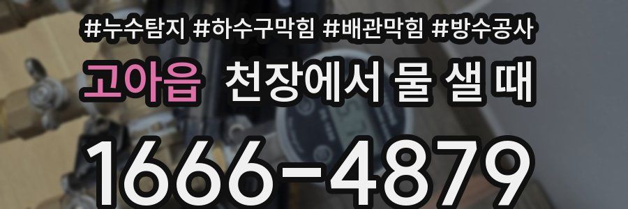 고아읍 천장에서 물 샐 때