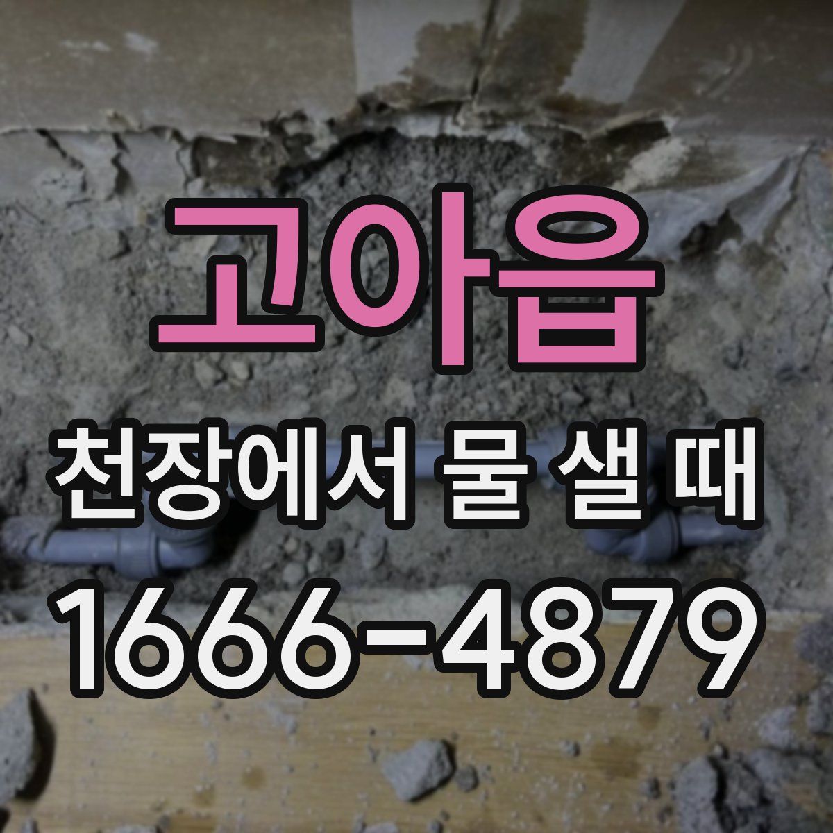 고아읍 천장에서 물 샐 때
