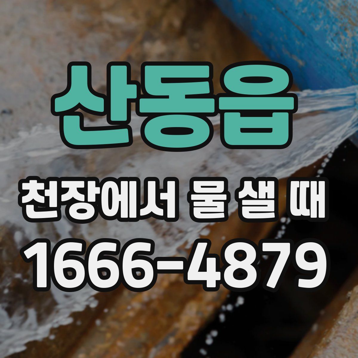 산동읍 천장에서 물 샐 때