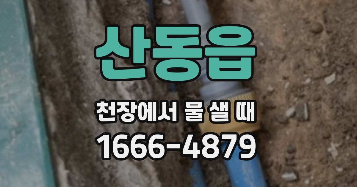 산동읍 천장에서 물 샐 때
