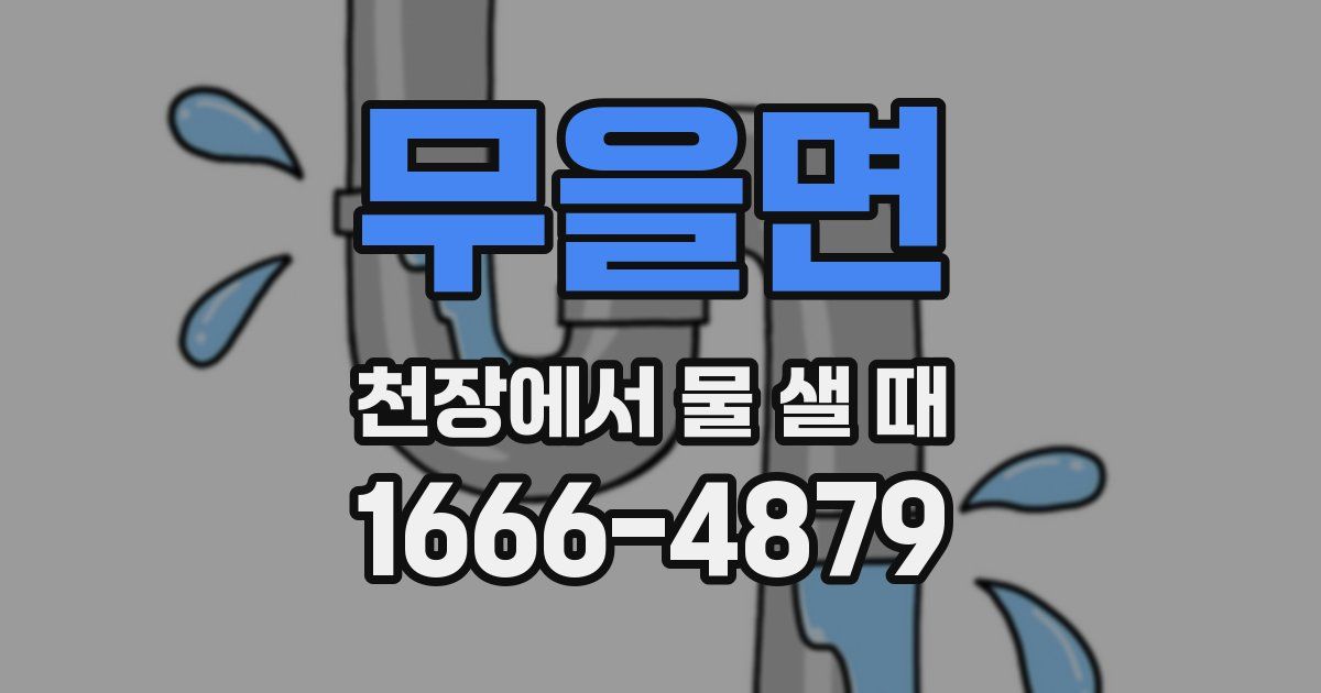 무을면 천장에서 물 샐 때
