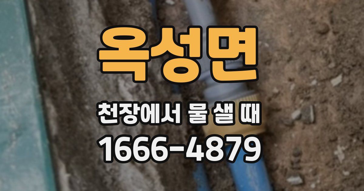 옥성면 천장에서 물 샐 때