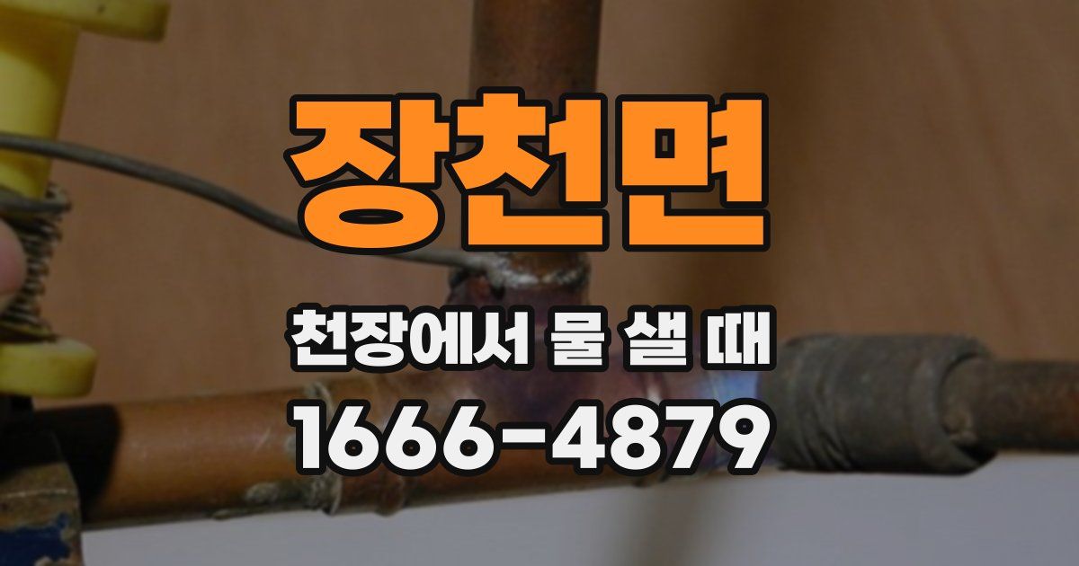 장천면 천장에서 물 샐 때