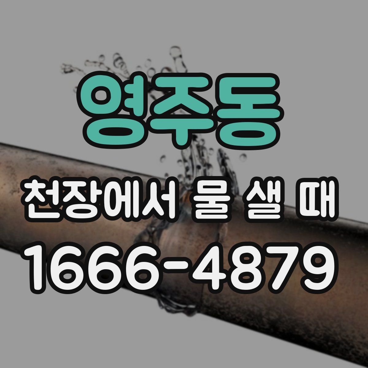 영주동 천장에서 물 샐 때