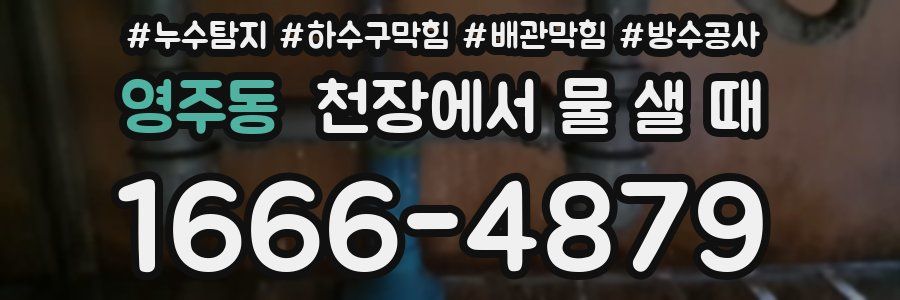 영주동 천장에서 물 샐 때