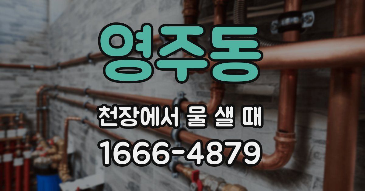 영주동 천장에서 물 샐 때