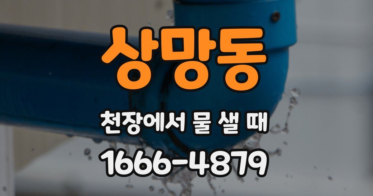 상망동 천장에서 물 샐 때