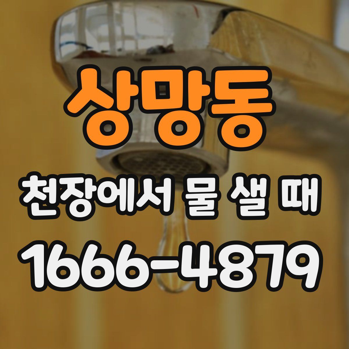 상망동 천장에서 물 샐 때