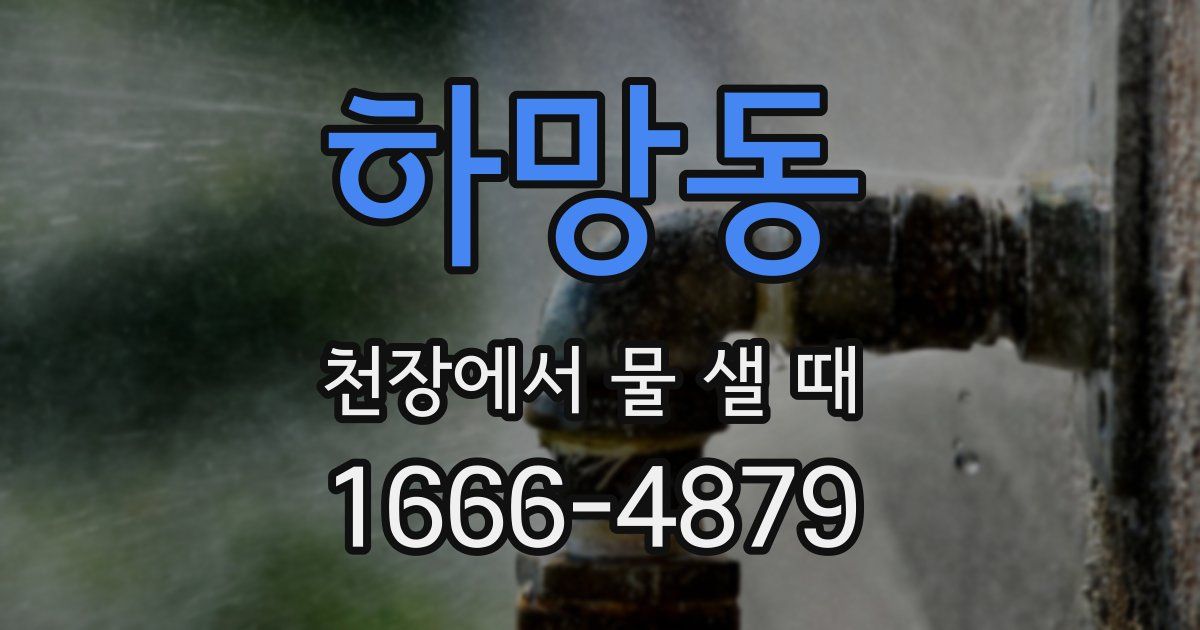 하망동 천장에서 물 샐 때