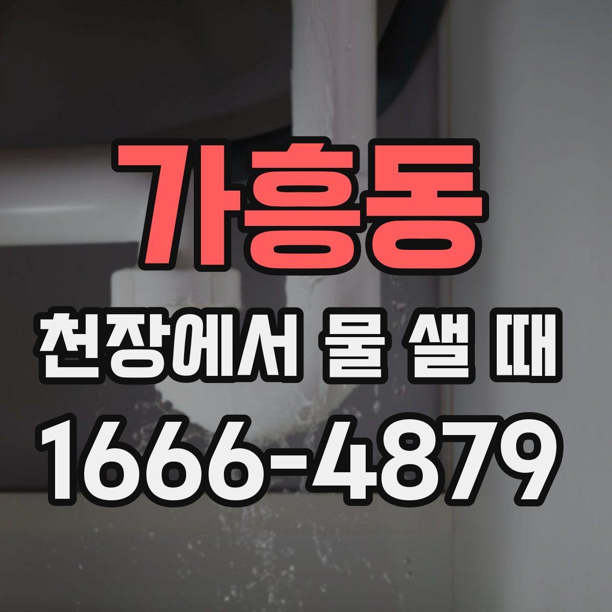 가흥동 천장에서 물 샐 때