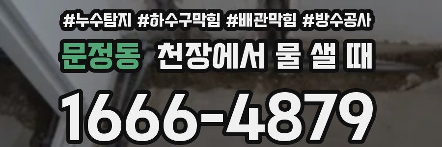 문정동 천장에서 물 샐 때