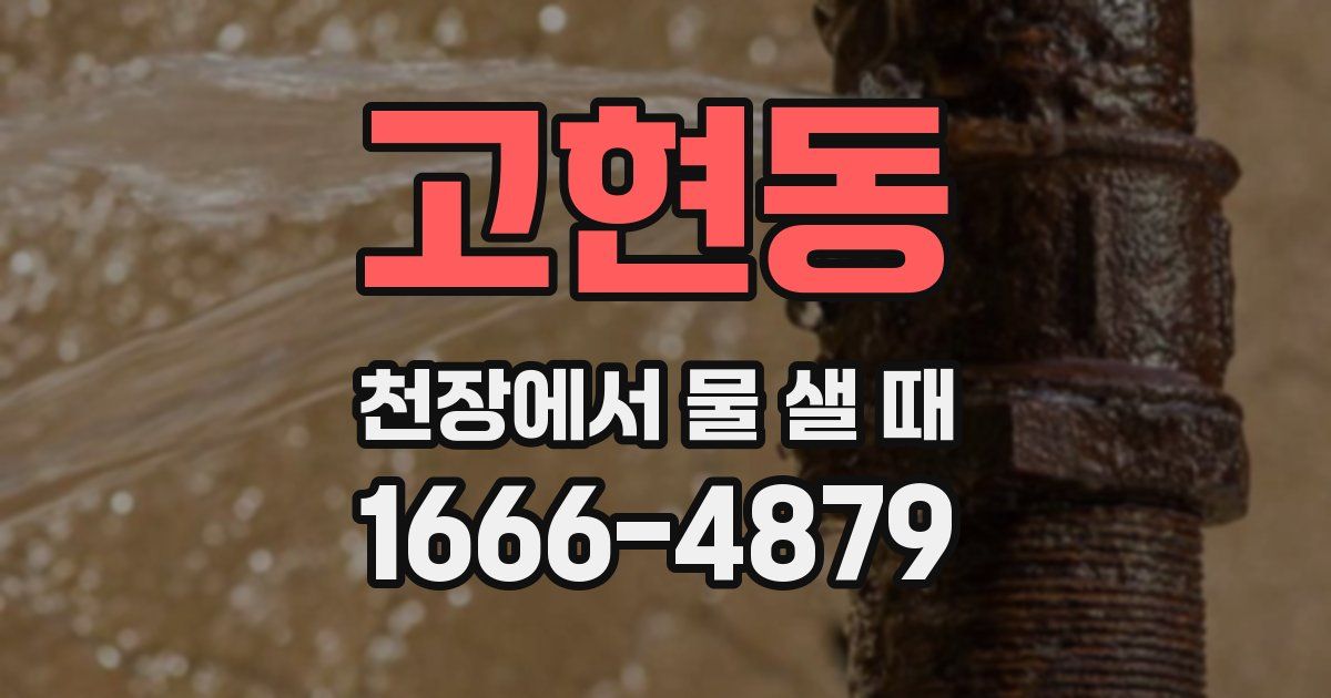 고현동 천장에서 물 샐 때