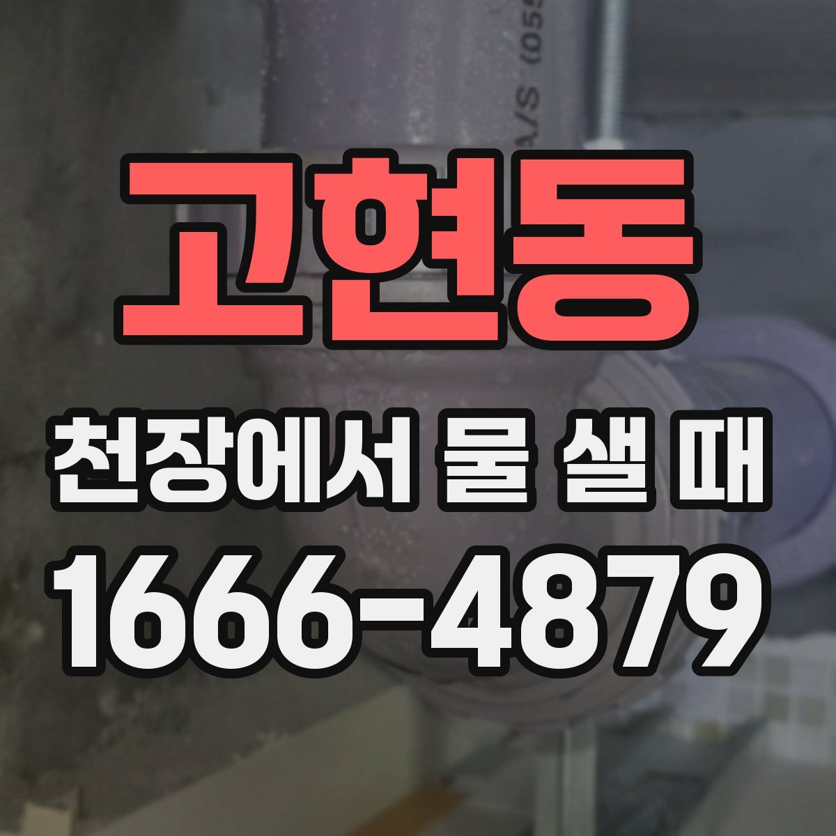 고현동 천장에서 물 샐 때