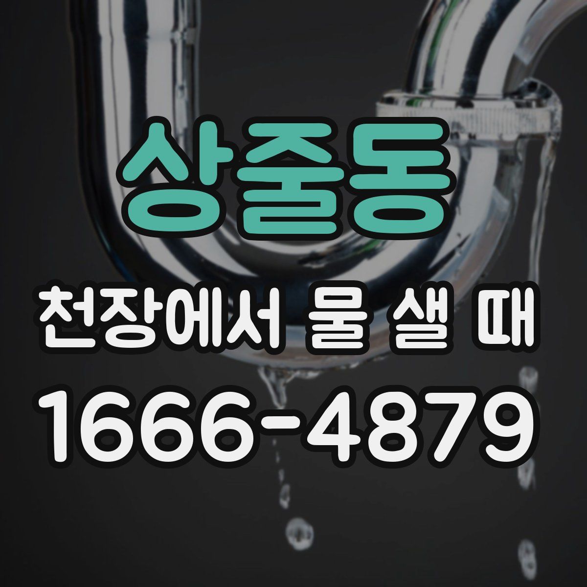 상줄동 천장에서 물 샐 때