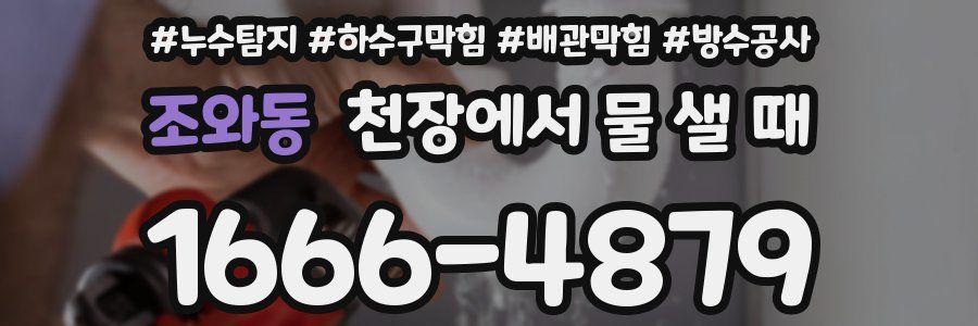 조와동 천장에서 물 샐 때
