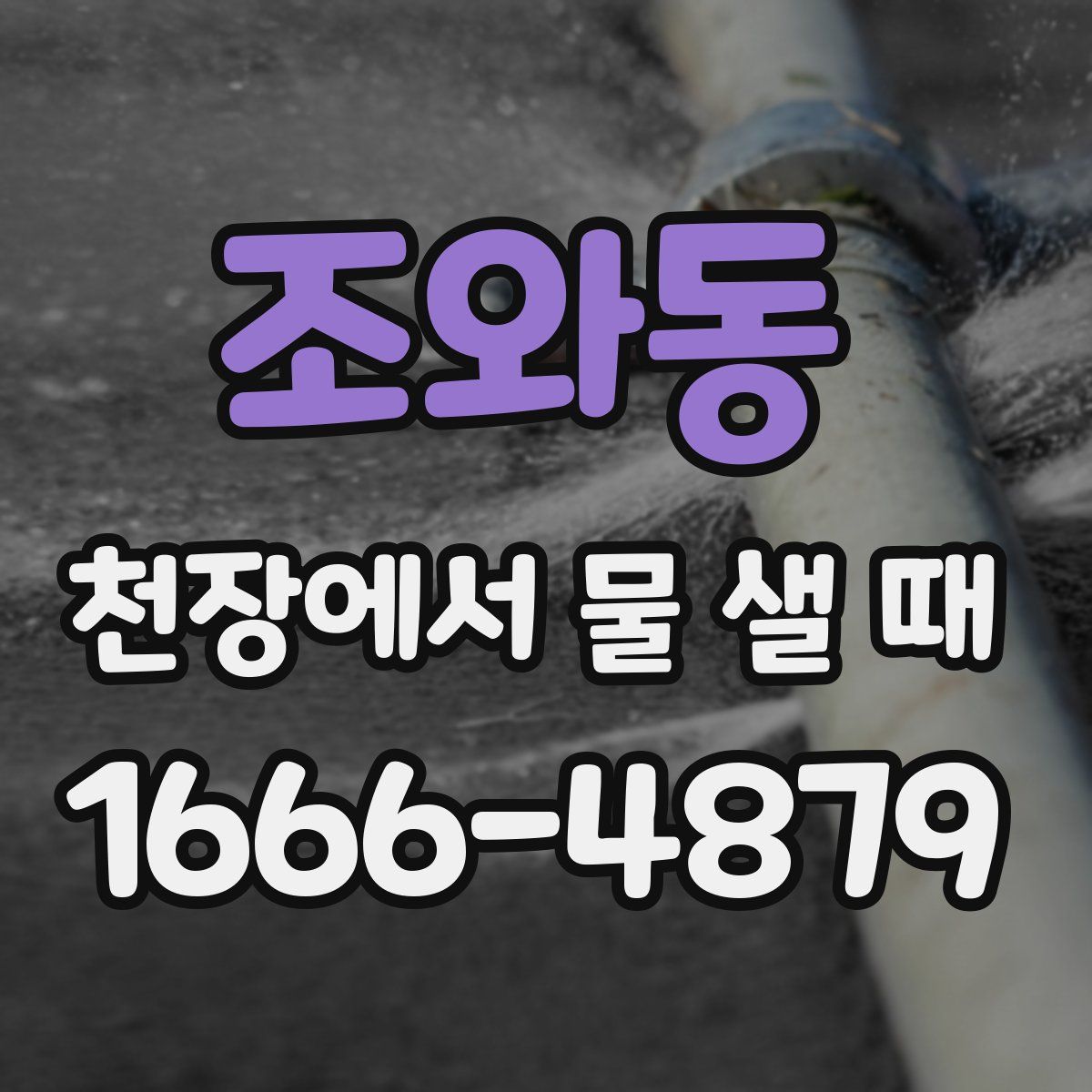 조와동 천장에서 물 샐 때