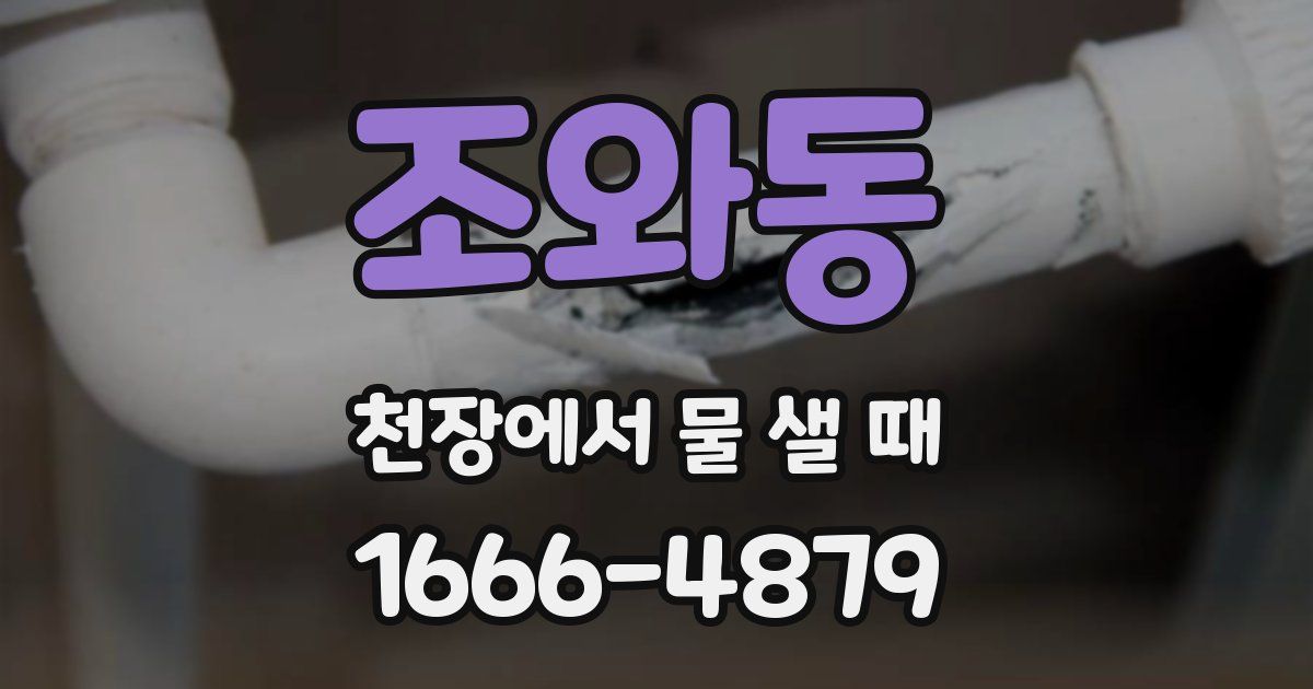조와동 천장에서 물 샐 때