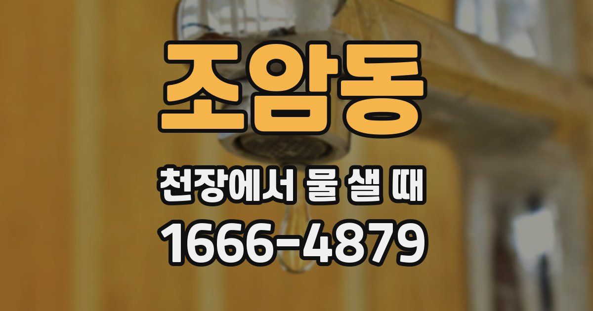 조암동 천장에서 물 샐 때