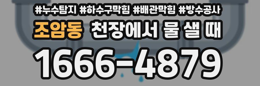 조암동 천장에서 물 샐 때