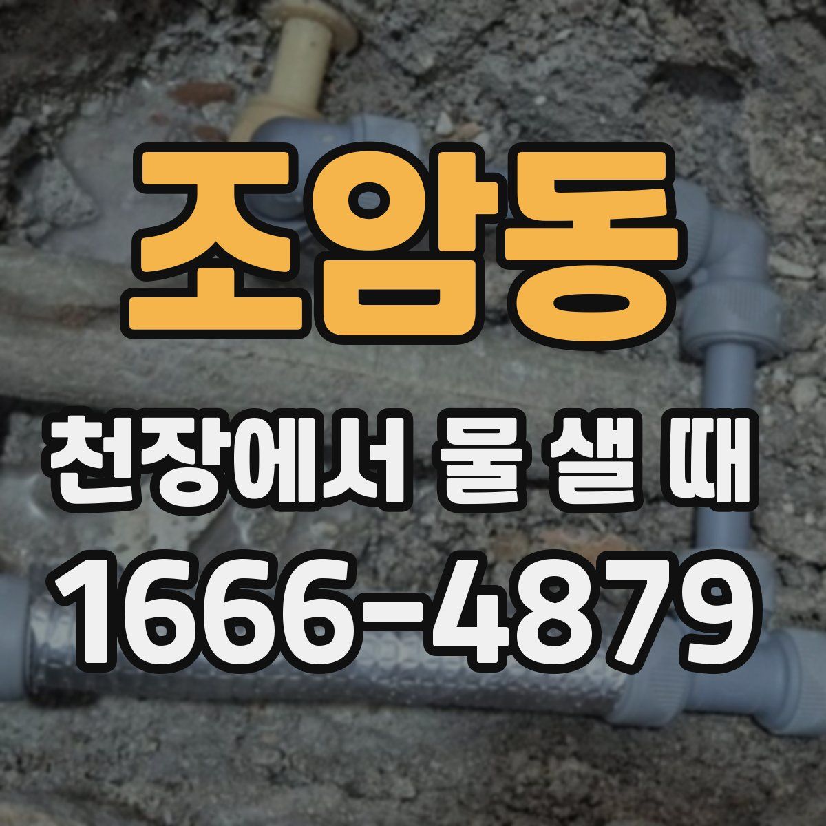 조암동 천장에서 물 샐 때
