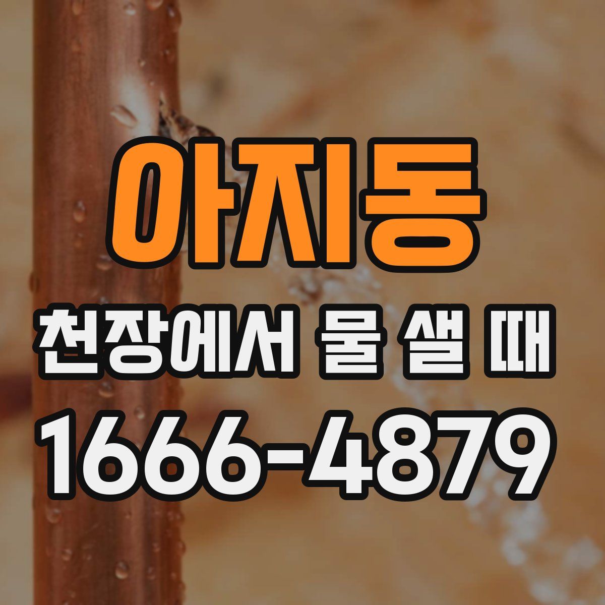 아지동 천장에서 물 샐 때