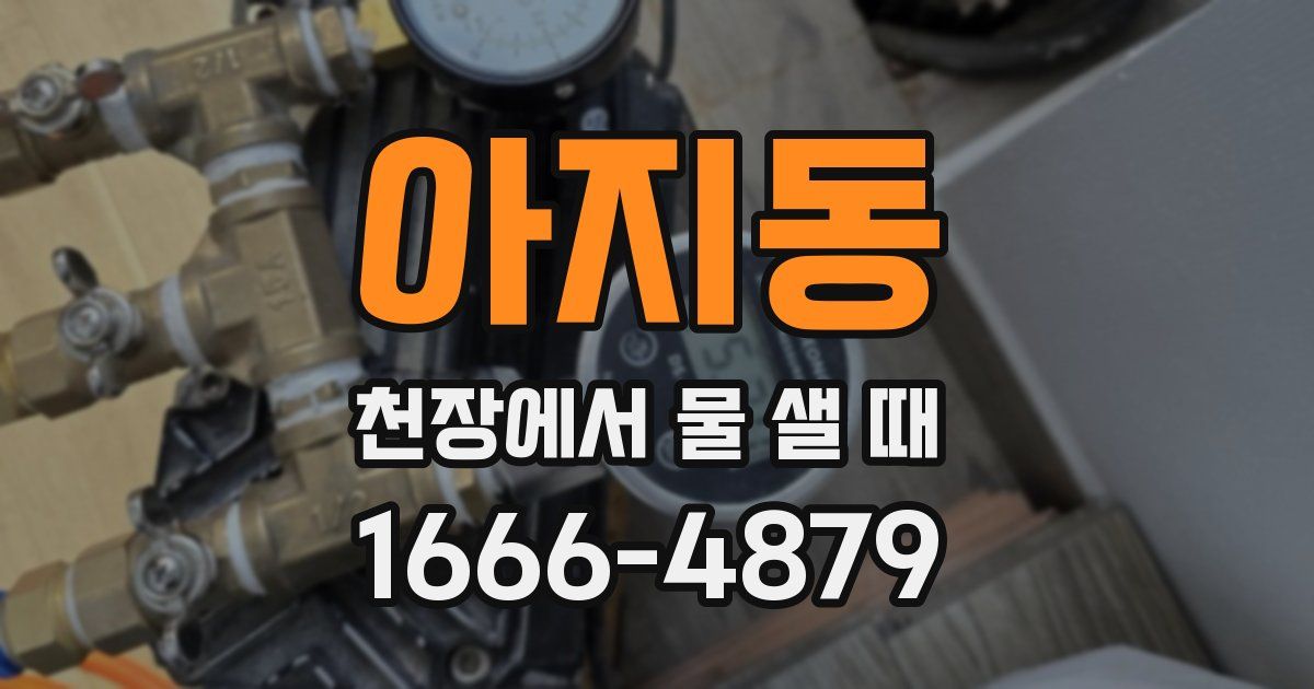 아지동 천장에서 물 샐 때