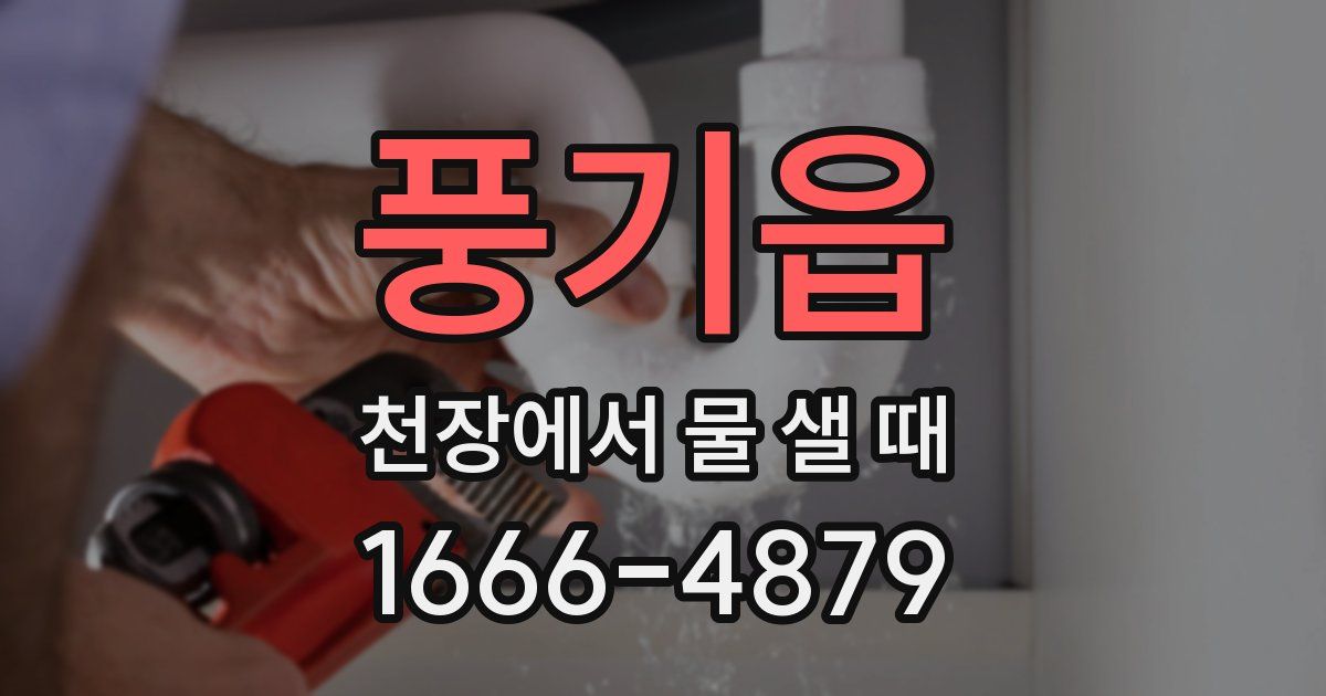 풍기읍 천장에서 물 샐 때