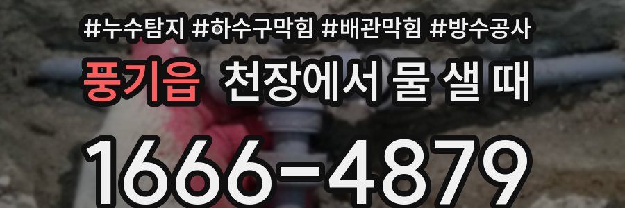풍기읍 천장에서 물 샐 때
