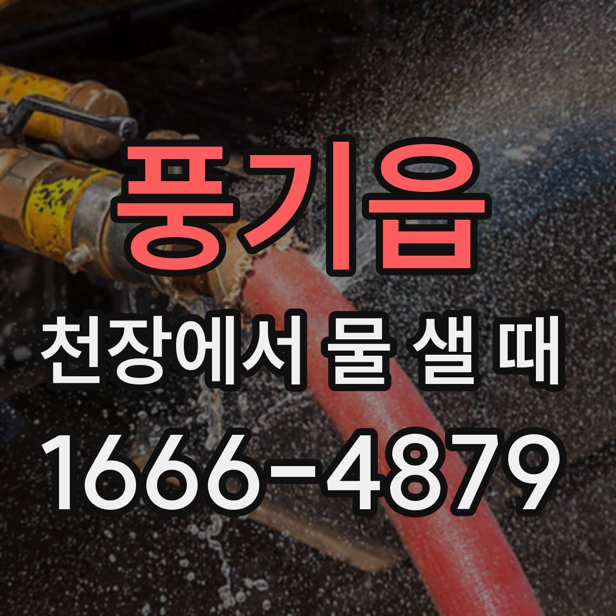 풍기읍 천장에서 물 샐 때
