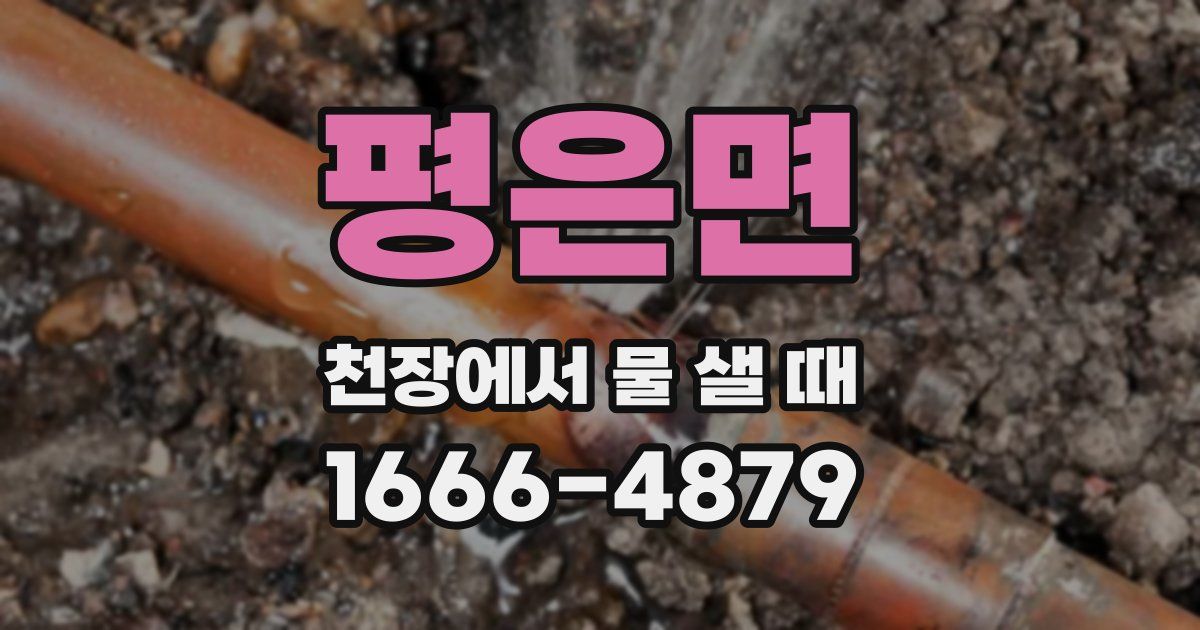 평은면 천장에서 물 샐 때
