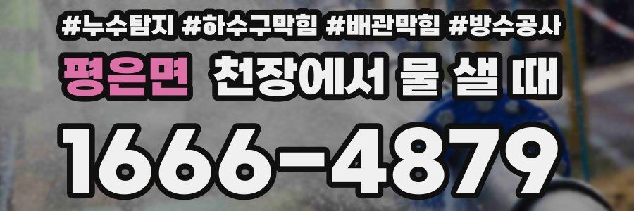 평은면 천장에서 물 샐 때