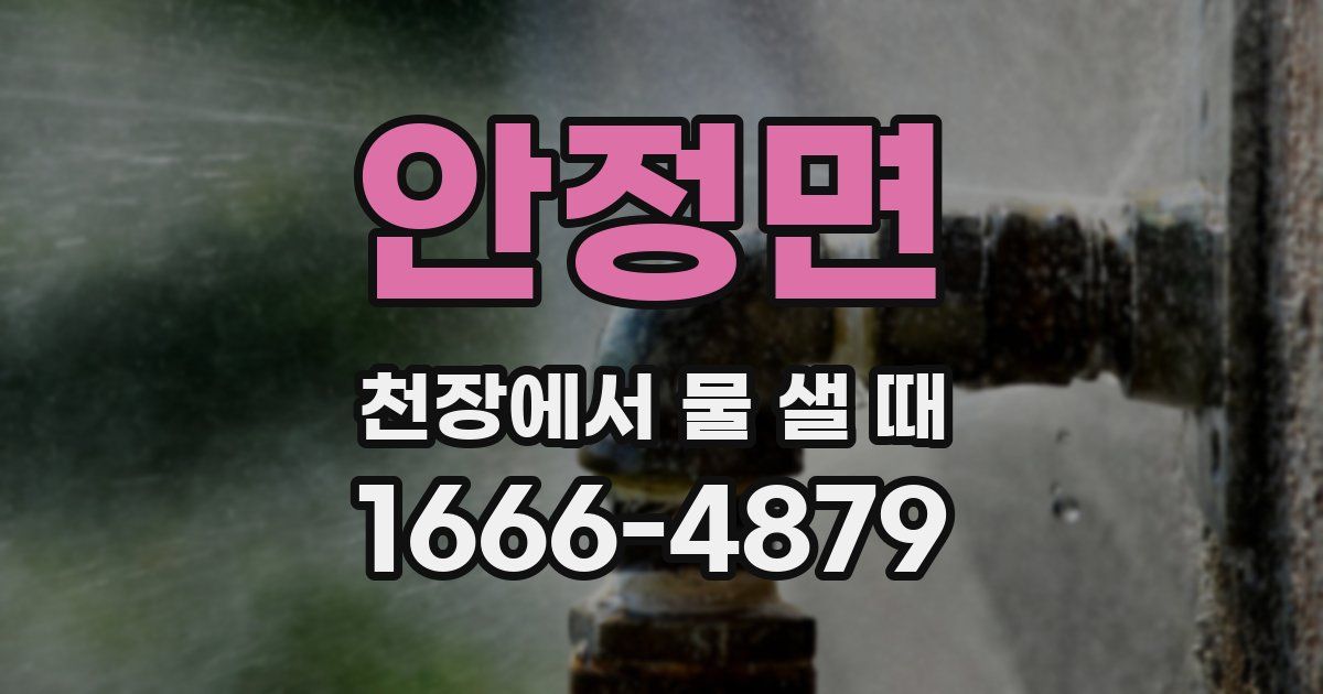 안정면 천장에서 물 샐 때