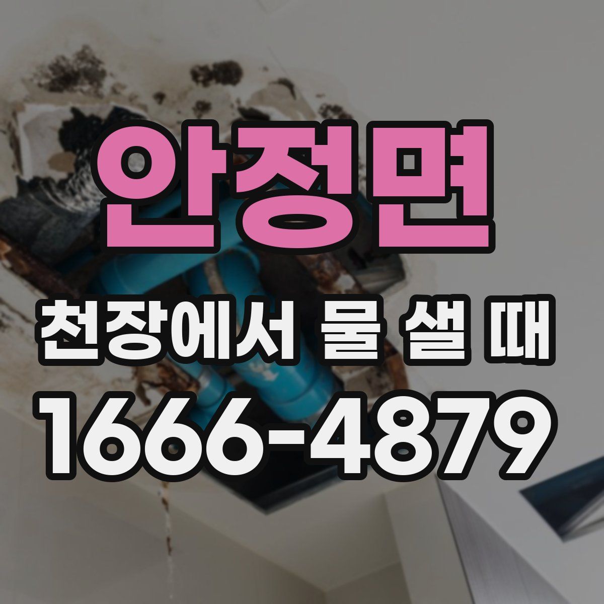 안정면 천장에서 물 샐 때