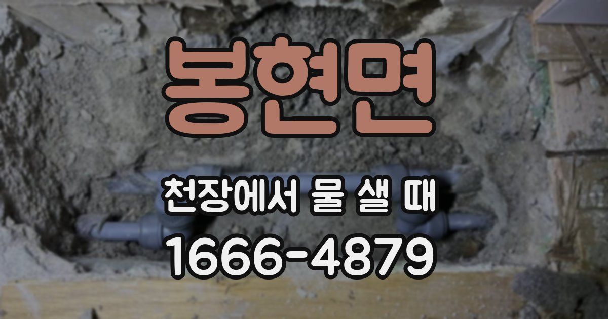 봉현면 천장에서 물 샐 때