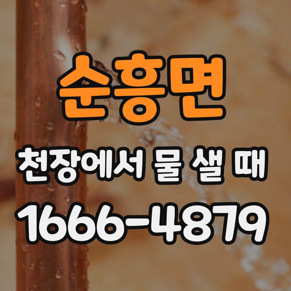 순흥면 천장에서 물 샐 때